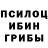 Галлюциногенные грибы Cubensis Sparta Rex