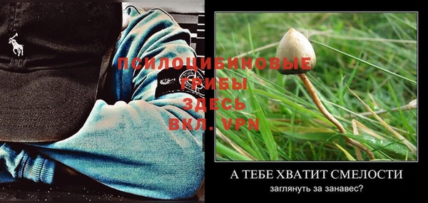 альфа пвп Новозыбков